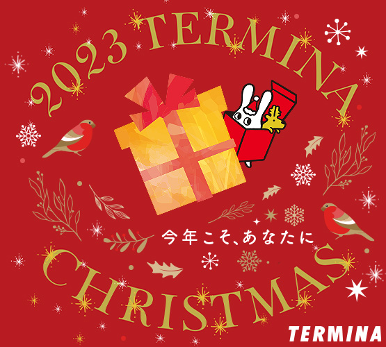 錦糸町テルミナクリスマス